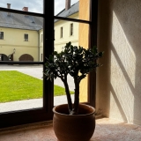 IMG-20240503-WA0063