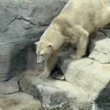 full_544_2127