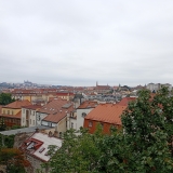 IMG_20250926_120144671_MFNR
