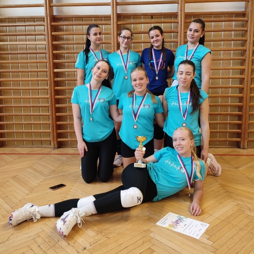 Alternativní popis - Třetí místo v okresním kole volejbalu