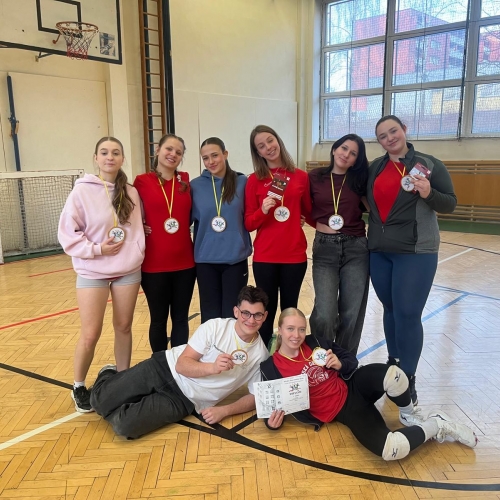 Alternativní popis - Školní volejbalový turnaj 