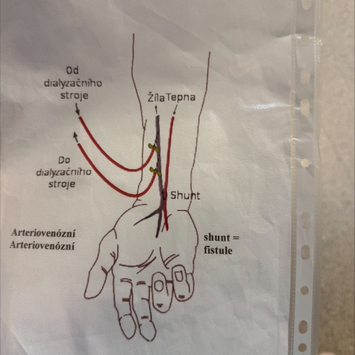 Alternativní popis - Odborná exkurze 4. A