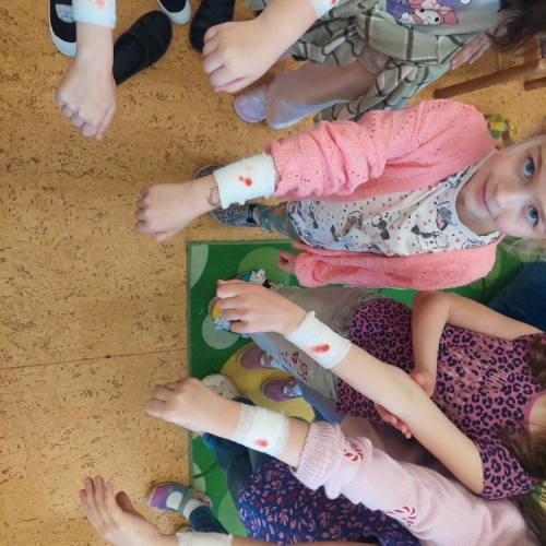 Alternativní popis - První pomoc na ZŠ v Lískovci